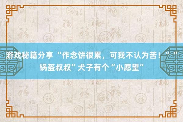 游戏秘籍分享 “作念饼很累，可我不认为苦！”“锅盔叔叔”犬子有个“小愿望”