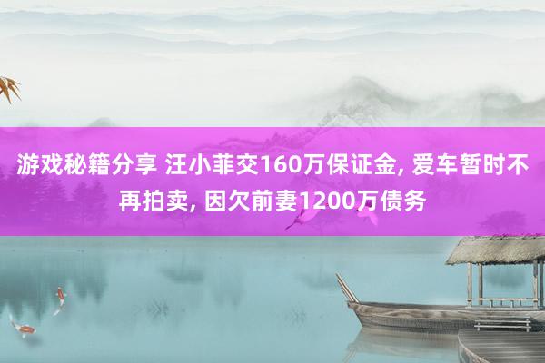 游戏秘籍分享 汪小菲交160万保证金, 爱车暂时不再拍卖, 因欠前妻1200万债务