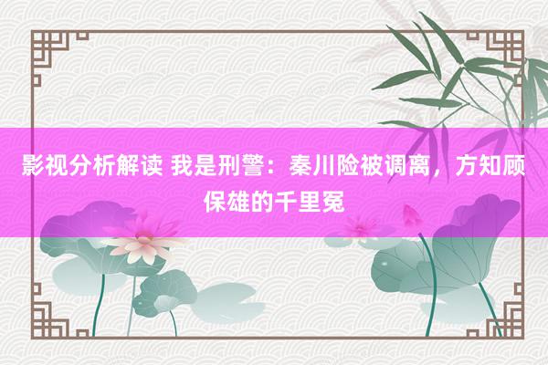 影视分析解读 我是刑警：秦川险被调离，方知顾保雄的千里冤