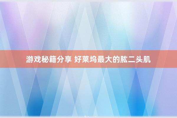 游戏秘籍分享 好莱坞最大的肱二头肌